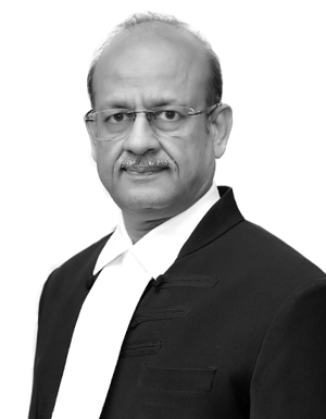 Justice Rajesh Bindal